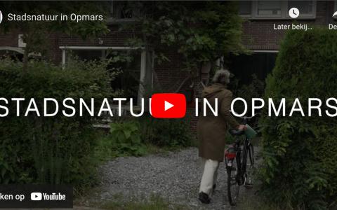 BWL videostill Stadsnatuur in opmars