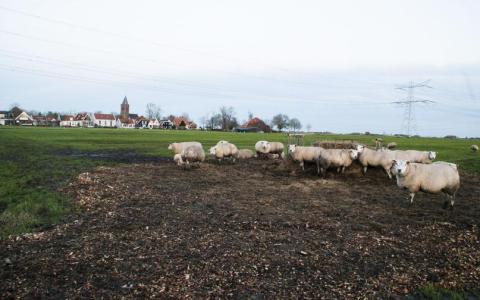 Landelijk gebied