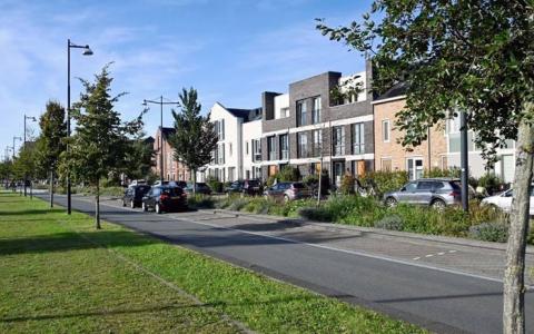 Diemen - Sniep