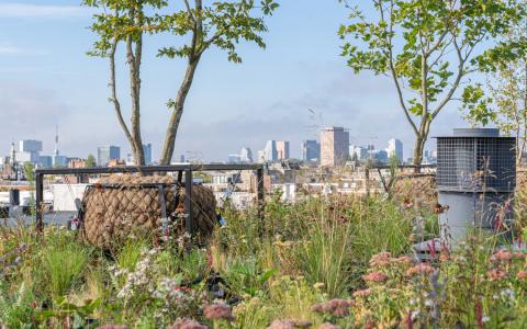 Dak Amsterdam Camperstraat. Foto: Rene Post/Urban Jungle