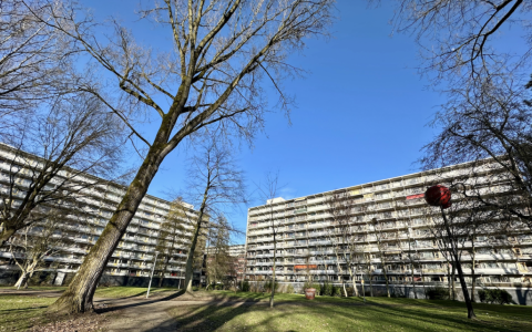 De Molenwijk. Afbeelding via De Alliantie