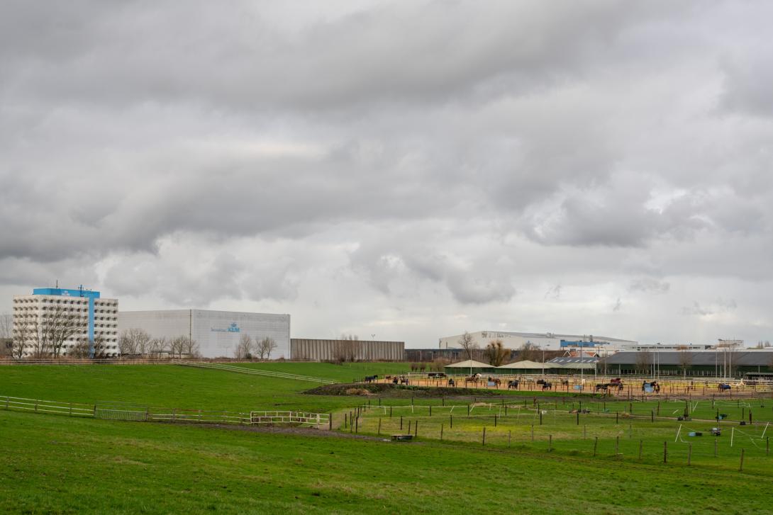 In Paardensportcentrum Wennekers worden onder andere paarden gestald die wachten op vliegtransport. Een paardenhotel dus – Schinkelbos, Aalsmeer.