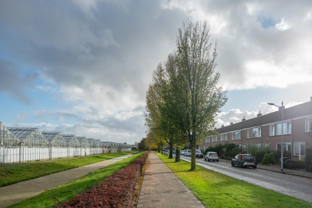 Verspreid over Rijsenhout liggen veel percelen met ‘oud glas’. Omdat ze volgens de provincie buiten ‘bestaand stedelijk gebied’ vallen, mogen daar zelfs de 25 woningen niet gebouwd worden – Lijzijde, Rijsenhout.