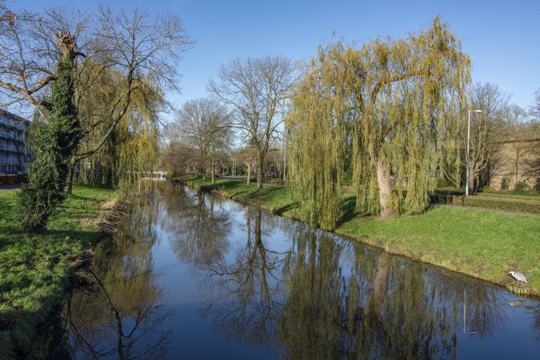 Amsterdam Noord - sloot bij de Van Heekweg (Buurt:  De Kleine Wereld). Foto: Hans van der Vliet