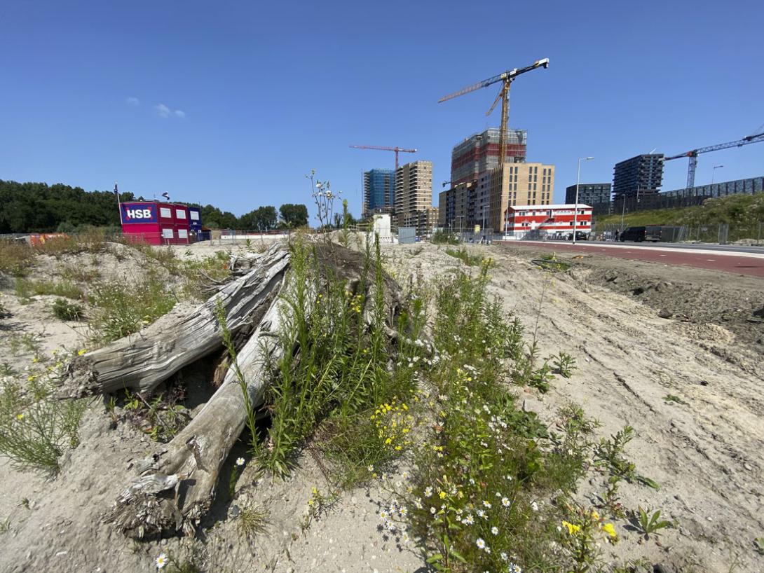 Amsterdam Noord . Bouwterrein Elzenhagensingel. Foto: Hans van der Vliet