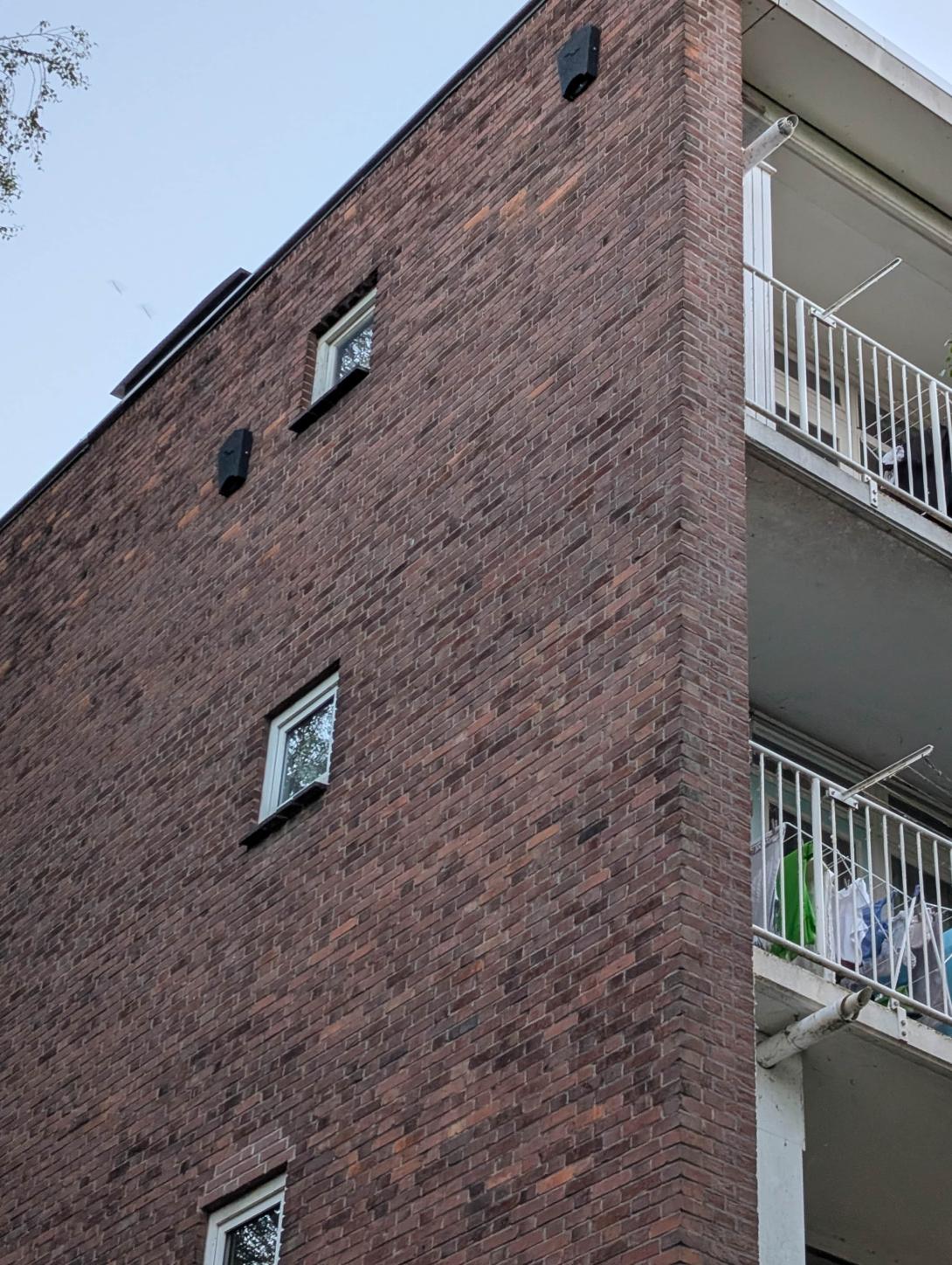Vleermuiskasten in Weesp.