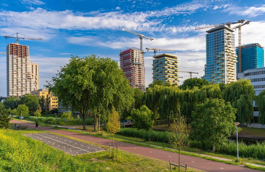 Spot-locatie Hondsrugpark. Foto: Shutterstock
