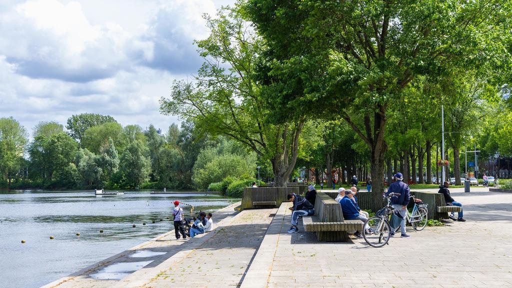 De zuidwestoever van de Sloterplas